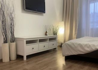Сдается в аренду 1-ком. квартира, 30 м2, Томская область, улица Матросова, 3