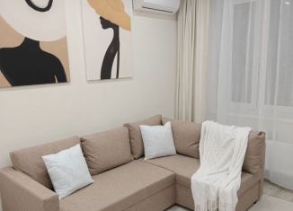 Сдается в аренду 1-ком. квартира, 38 м2, Тюмень, Новгородская улица, 20