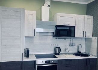 Сдается квартира студия, 38 м2, Тула, улица Строителей, 4