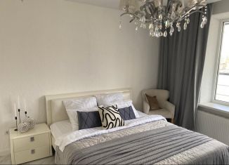 Сдаю 1-ком. квартиру, 65 м2, Ярославская область, Которосльная набережная, 57