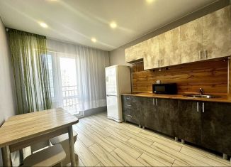 Сдается в аренду 1-ком. квартира, 36 м2, Пенза, улица Генерала Глазунова, 6