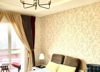 Сдам в аренду квартиру студию, 28 м2, Новгородская область, Колмовская набережная, 71