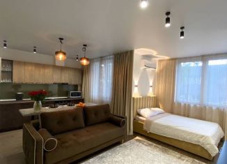 Сдается квартира студия, 42 м2, Сочи, переулок Трунова, микрорайон Завокзальный