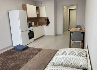 Квартира в аренду студия, 30 м2, Республика Башкортостан, Комсомольская улица, 106/3