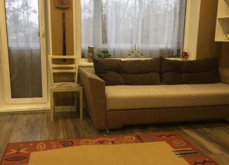 Сдаю в аренду 2-комнатную квартиру, 45 м2, Санкт-Петербург, улица Партизана Германа, 15к3, Красносельский район