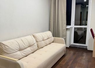 Сдается в аренду квартира студия, 25 м2, Северодвинск, Лесная улица, 27