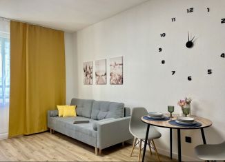 Сдается в аренду квартира студия, 25 м2, Мурино, Петровский бульвар, 11к1, ЖК Гринландия