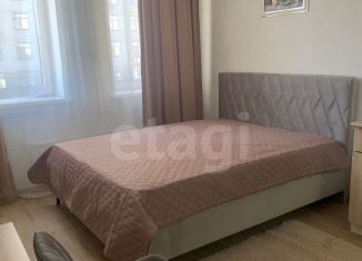 Аренда квартиры студии, 30 м2, Тюмень, улица Ю.-Р.Г. Эрвье, 38, ЖК Европейский Берег