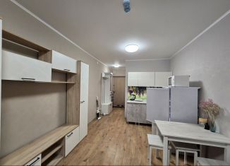 Сдам квартиру студию, 22 м2, посёлок Парголово, Толубеевский проезд, 8к2