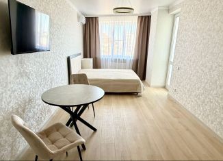 Сдается в аренду квартира студия, 34 м2, Ростов-на-Дону, Красноармейская улица, 202