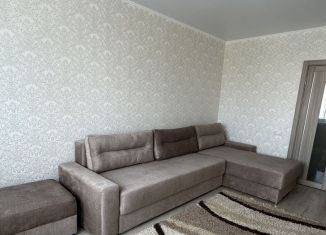 Сдаю в аренду 1-ком. квартиру, 48 м2, Ростов-на-Дону, улица Максима Горького, 225