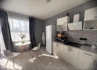 Квартира в аренду студия, 35 м2, Карелия, набережная Варкауса, 35