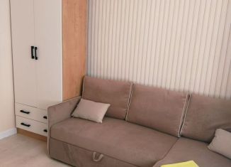 Однокомнатная квартира в аренду, 20 м2, Ульяновская область, улица Розы Люксембург