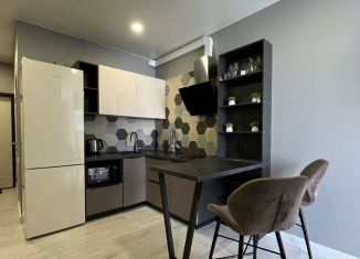 Аренда однокомнатной квартиры, 35 м2, Сириус, улица Станиславского, 19Б