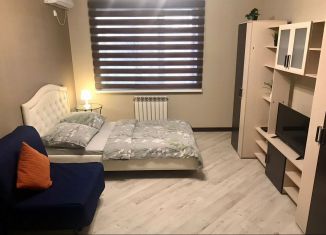 Сдаю в аренду 1-комнатную квартиру, 50 м2, Ростов-на-Дону, Берберовская улица, 6с2