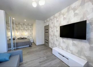 Сдается в аренду 1-комнатная квартира, 50 м2, Краснодар, Гаражная улица, 87