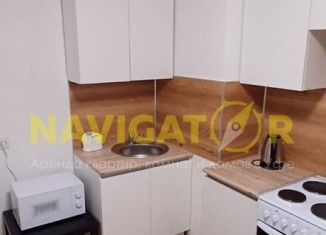 Сдается 1-ком. квартира, 40 м2, Республика Башкортостан, улица Мечтателей, 17