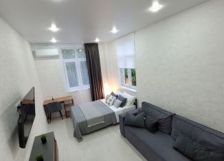 Сдаю однокомнатную квартиру, 32 м2, село Орёл-Изумруд, Дачная улица, 16А/2