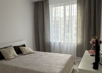 Сдается 1-ком. квартира, 30.6 м2, Санкт-Петербург, улица Владимира Пчелинцева, метро Юго-Западная