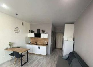 Сдам в аренду квартиру студию, 25 м2, Тюмень, Комбинатская улица, 54к2