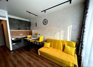 Сдам в аренду квартиру студию, 22 м2, Москва, улица Руставели, 16к2, метро Бутырская