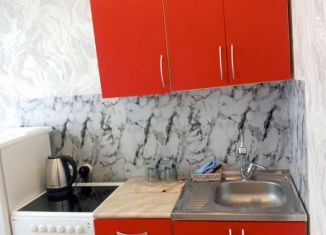 Сдаю в аренду однокомнатную квартиру, 29 м2, Искитим, микрорайон Южный, 10