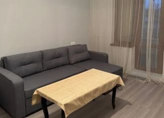 Сдаю 1-ком. квартиру, 31.3 м2, Краснодар, улица Димитрова, 135
