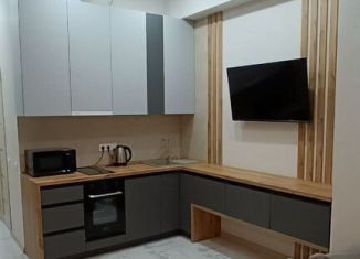 Сдаю квартиру студию, 30 м2, Сочи, улица Гастелло, 28к2