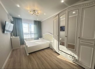 Сдаю 1-комнатную квартиру, 38 м2, Ростов-на-Дону, Берберовская улица, 17с1