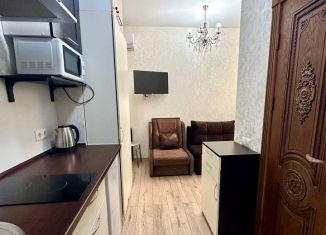 Сдается квартира студия, 15 м2, Сочи, Виноградная улица, 89/2