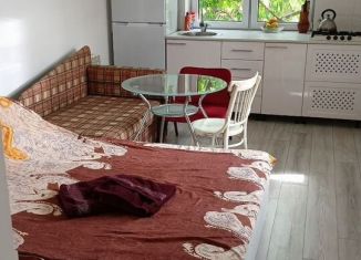 Сдается квартира студия, 25 м2, Пятигорск, СТ Гражданпроект, 38