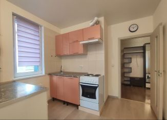 Сдача в аренду 1-ком. квартиры, 38 м2, Санкт-Петербург, улица Крыленко, 1к1с6, метро Елизаровская