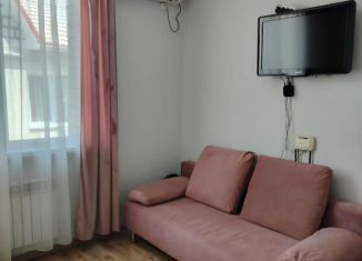 Сдается квартира студия, 26 м2, Сочи, улица Чкалова, 32