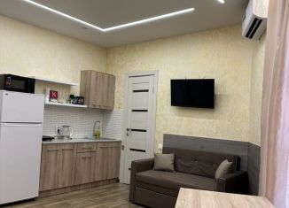 Сдам в аренду квартиру студию, 20 м2, Сириус, улица Станиславского, 19Б