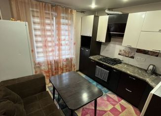 Сдаю двухкомнатную квартиру, 52 м2, Омск, Омская улица, 121