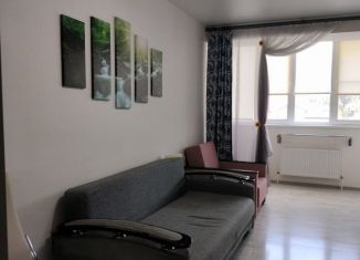 Аренда однокомнатной квартиры, 40 м2, Горячий Ключ, улица Михаила Корницкого, 1