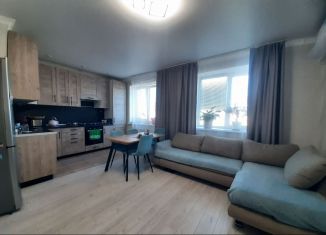 Сдача в аренду трехкомнатной квартиры, 60 м2, Республика Башкортостан, улица Дружбы, 3