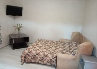 1-комнатная квартира в аренду, 30 м2, Геленджик, Восточный переулок, 30