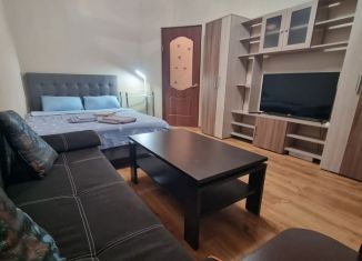 Сдам в аренду 1-комнатную квартиру, 26 м2, Калининград, улица Юрия Гагарина, 16Б