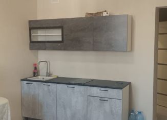 Сдается квартира студия, 25.9 м2, Оренбургская область, Уральская улица, 2/16