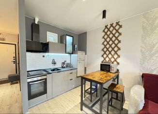 Сдаю квартиру студию, 33 м2, Ростов-на-Дону, улица Димитрова, 63