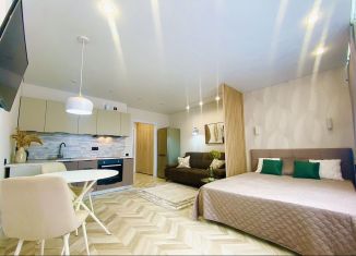 Сдача в аренду квартиры студии, 27 м2, Оренбургская область, Пролетарская улица