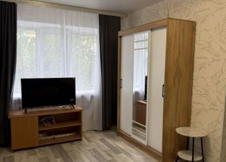 Сдается в аренду 1-ком. квартира, 33 м2, Биробиджан, улица Шолом-Алейхема, 77А