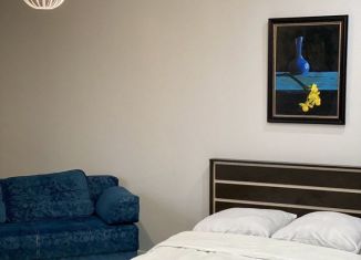 Сдам квартиру студию, 39 м2, Бурятия, улица Борсоева, 77