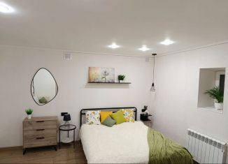 Сдается в аренду 1-ком. квартира, 35 м2, Кисловодск, улица Куйбышева, 4