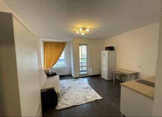 Сдается квартира студия, 27 м2, Санкт-Петербург, улица Генерала Кравченко, метро Юго-Западная