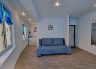 Аренда квартиры студии, 30 м2, Сочи, Клубничная улица, 32Е, микрорайон Новый Сочи