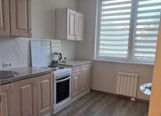 Сдам в аренду 1-комнатную квартиру, 43 м2, Москва, Касимовская улица, 39к2