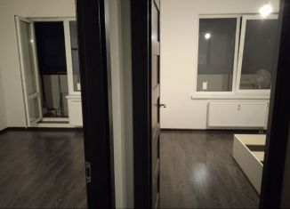 Сдается в аренду 1-комнатная квартира, 32 м2, Санкт-Петербург, улица Генерала Кравченко, 5к2, метро Проспект Ветеранов