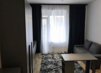 Сдается в аренду квартира студия, 24.3 м2, Санкт-Петербург, Планерная улица, 87к1